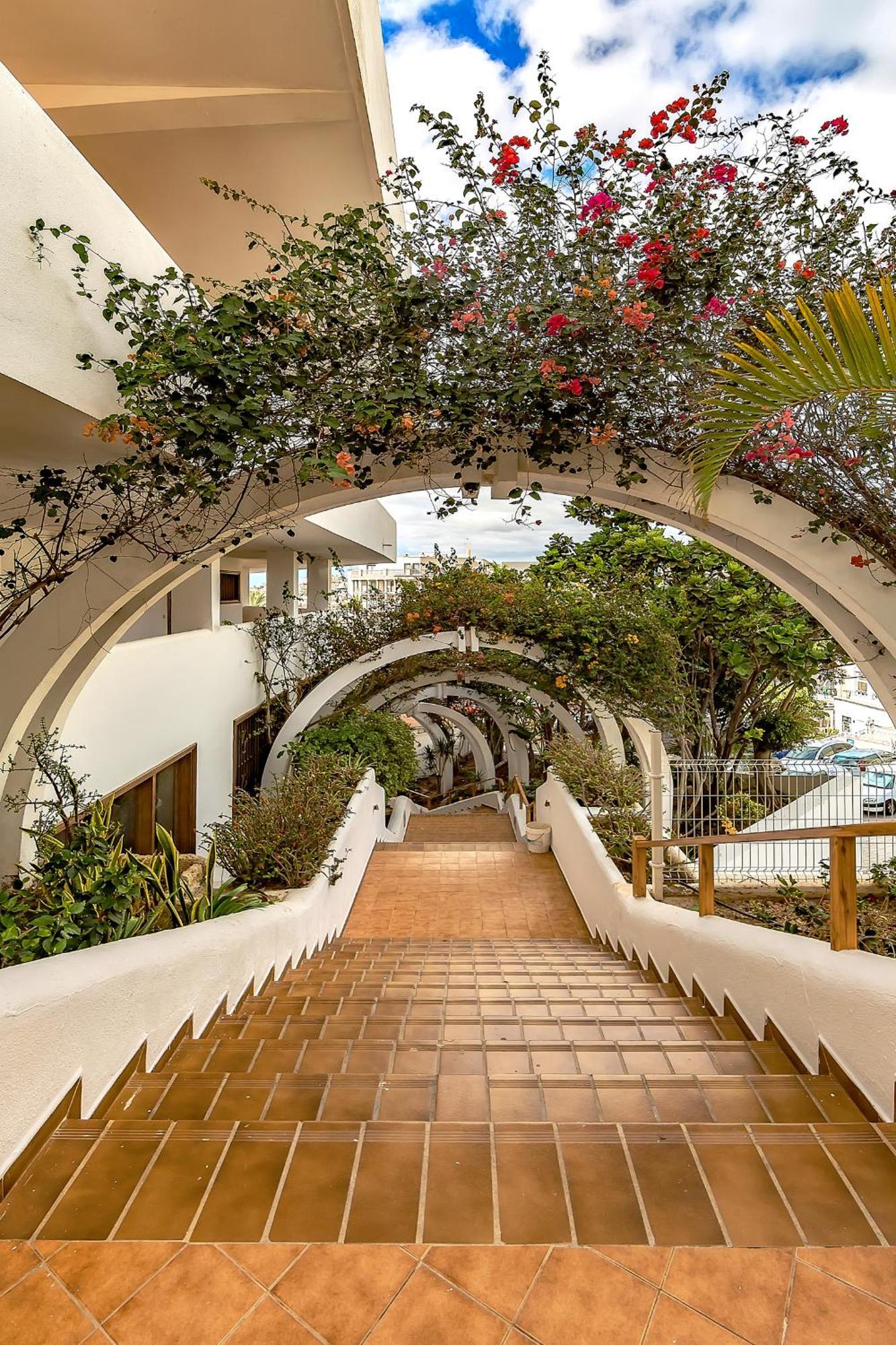 Ocean View Apartments In Park Royal I アデヘ エクステリア 写真